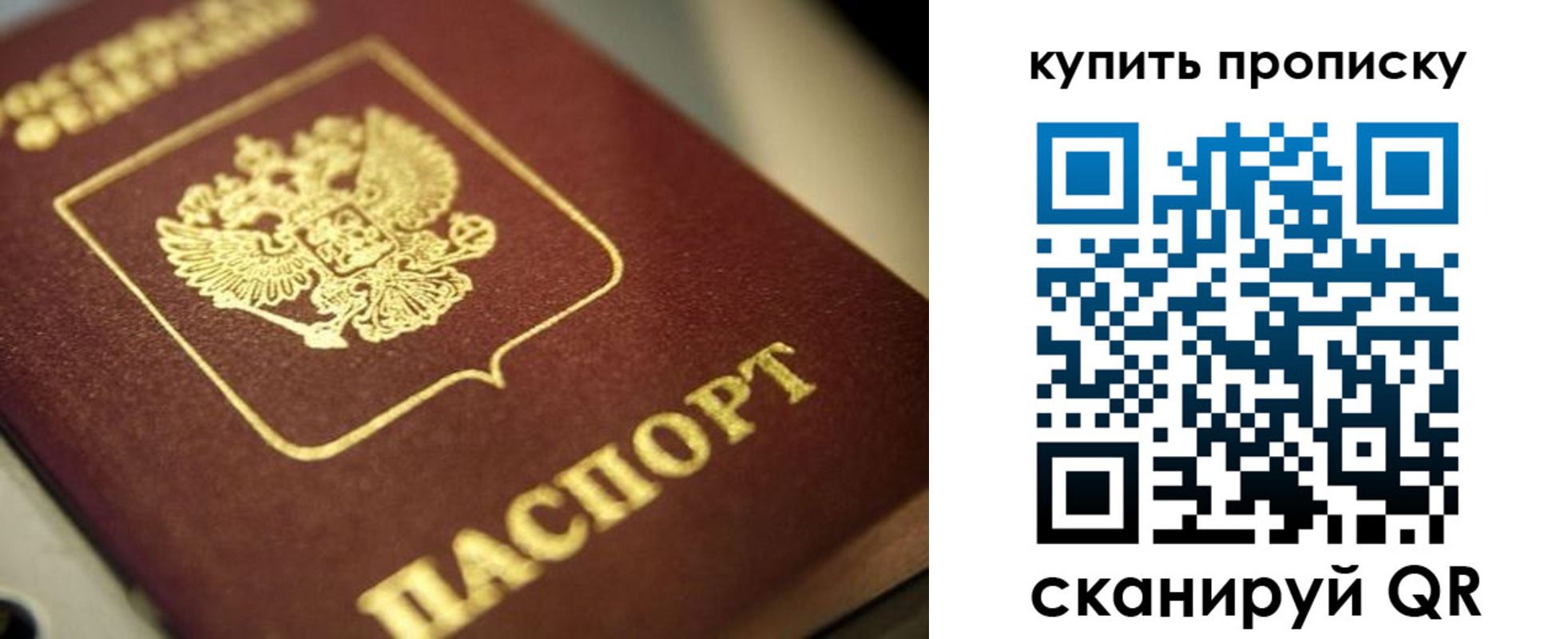 прописка поиск в Ясном